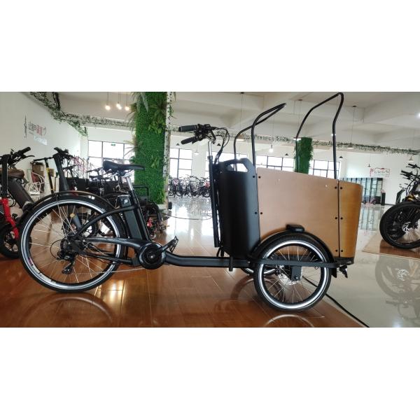 Electric Delivery Cargo Tricycle E-bike 3 Wheel Suspension Disc Brake Aluminum Fork