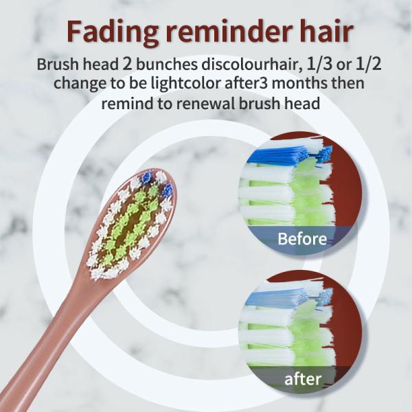 Multifunctional Gold Electric Toothbrush , Sonic Automatic Toothbrush With 15 Modes