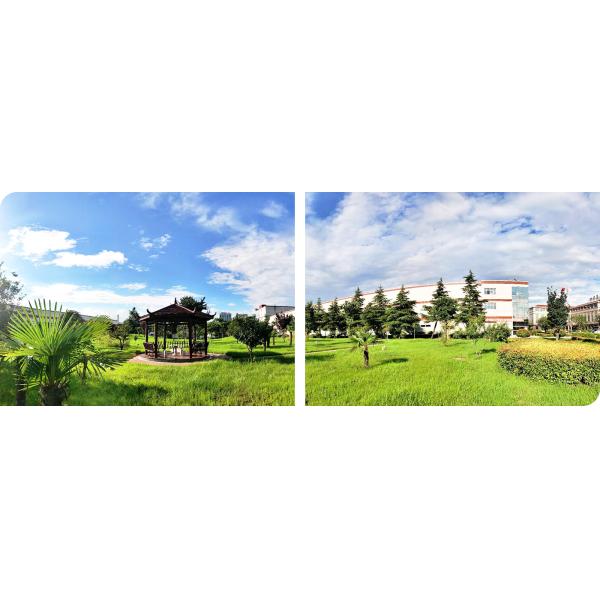 COMPATIBLE Thermal Transfer Ribbon for Printer Ribbons 110MM*300M Chinese A Grade