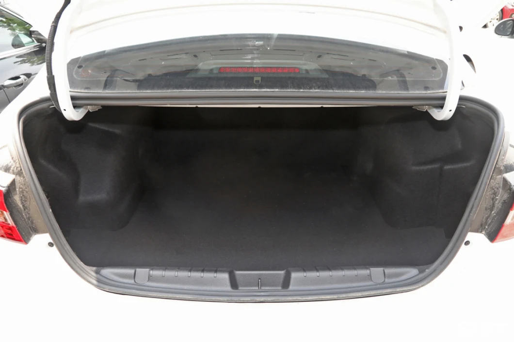 Suspension Rigid Axle Suspension Raysince Factory Price High Speed Electric Car China Supplier Hot Sales New Energy Car