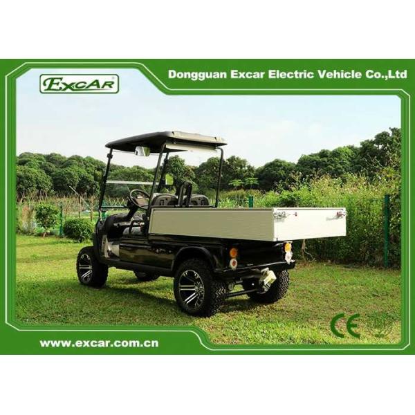 Автошины 14 дюймов охотясь общего назначения электрические багги гольфа с коробкой груза