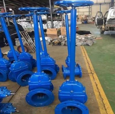 OEM PN10 Extension Stem Gate Valve With Extended Stem ODM