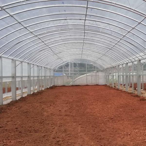 Double Film Double Arches Greenhouse Vegetable Growing 2.8m Tunnel Plastic Greenhouse