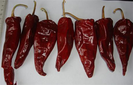 12CM Dry Red Chilli Whole Xinglong 10KG Dried Asian Chili Peppers