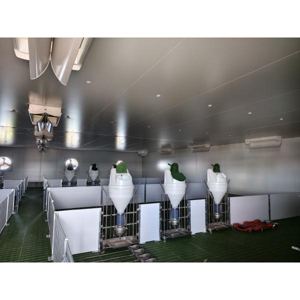 Instalación en el lugar de la fábrica de cervecería Estructura de acero Granja de aves de corral Granja para cerditos