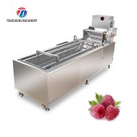 Máquina que lava a chorro de alta presión 1500KG/H de la burbuja de la fruta 240KG multifuncional