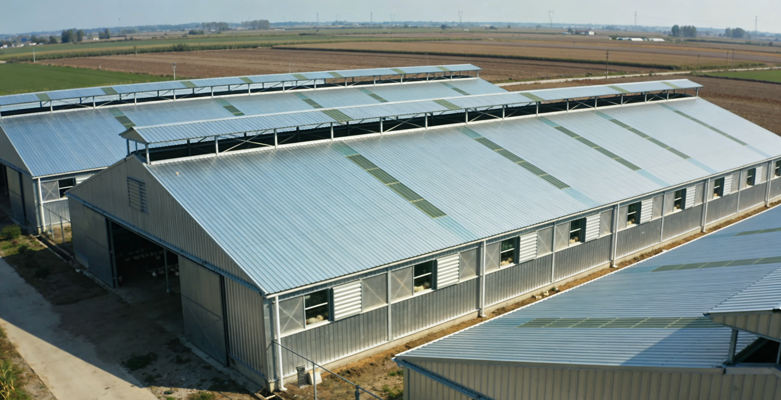 Q355B High-Strength Hot-Dip Galvanized Steel Frame Poultry House With Insulated Sandwich Panel