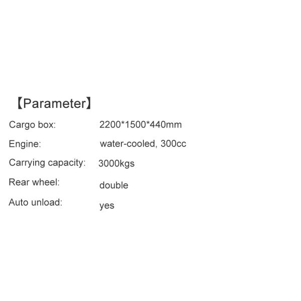 Maximum Speed 50-70Km/h Automatic Gasoline Powered 3 Wheel Trike Motorcycle for Adult
