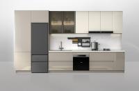O armário de cozinha aberto feito sob encomenda pinta o armário modular total da despensa da cozinha