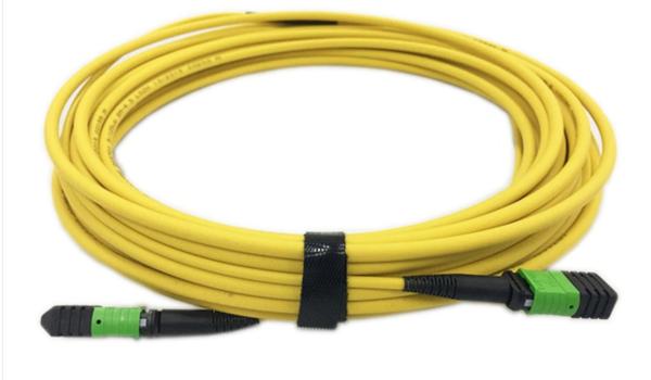 12F 24F MPO To MPO Fiber Optic Cable 4.5mm Double Jacket OM4 OM3 SM Optional