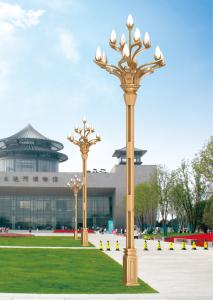 Poteau léger décoratif des réverbères de LED Polonais le haut 4500K 160lm/W 100