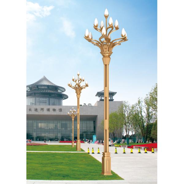 Decorative LED Pole Street Lights 4500K 160lm/W 100-265V high light pole led