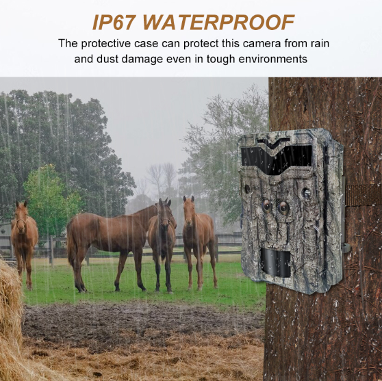 двойной объектив 4K держит камеру ночного видения камеры следа предохранителя на открытом воздухе охотясь