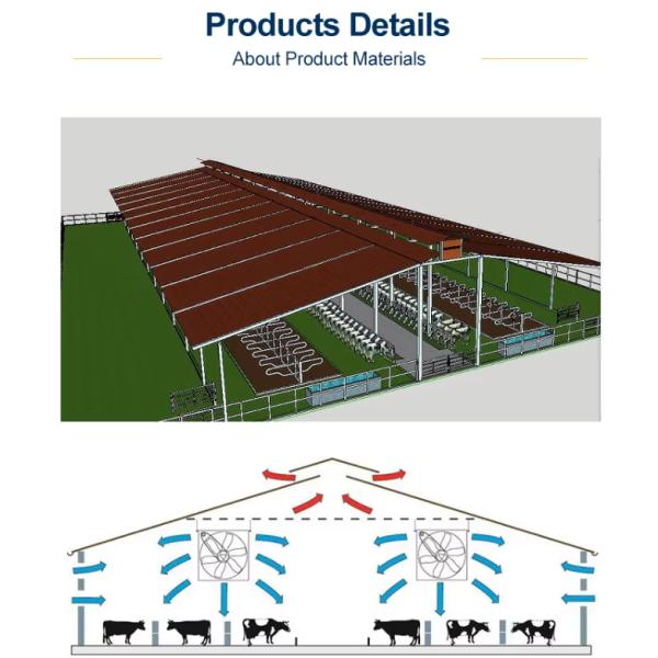Prefabricated Light Cow Shed Buildings Construction Q235B Q355B ASTM A36