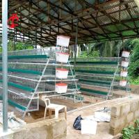 Système de la meilleure qualité et de luxe d'entrepôt du Nigéria de volaille de batterie de cage pour des poulets Sandy de couche