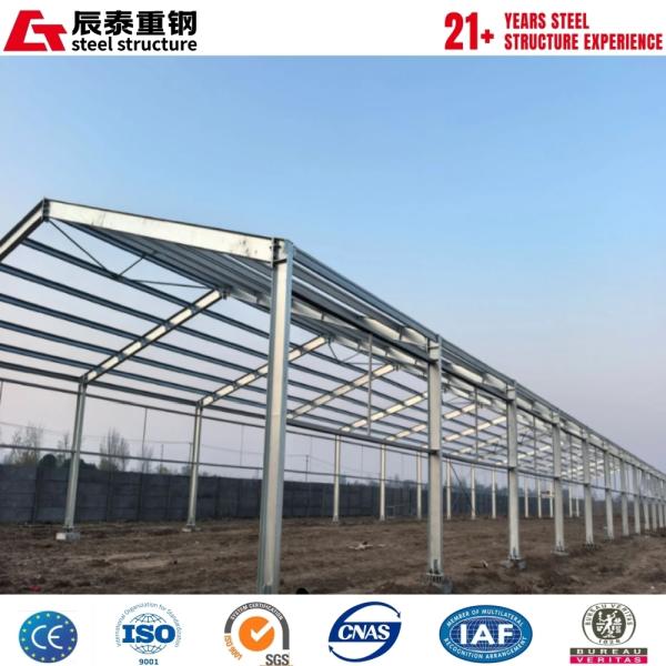 H-Section Steel Structure Livestock Greenhouse with Glass Walls