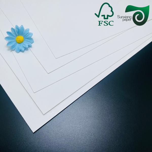 Certificado FSC Grado alimenticio C1S SBS Cartón sólido 215g 230g de lado único recubierto 30 40in