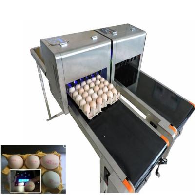 Barcode Egg Printer / Continuous Tray Egg Food Inkjet Printer Chinese Made
