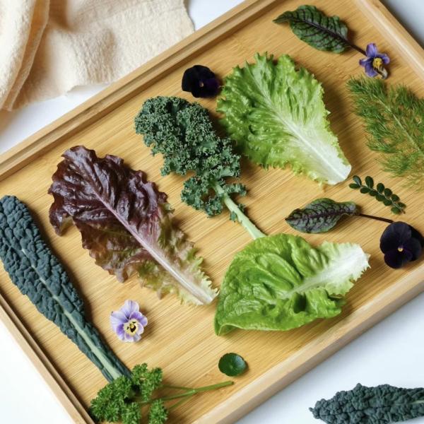 Full Payment Commercial Greenhouse for Tomatoes and Strawberries in Water Pipe Tunnel