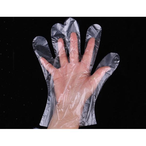 Embossed Surface Food Touch Disposable Plastic Gloves