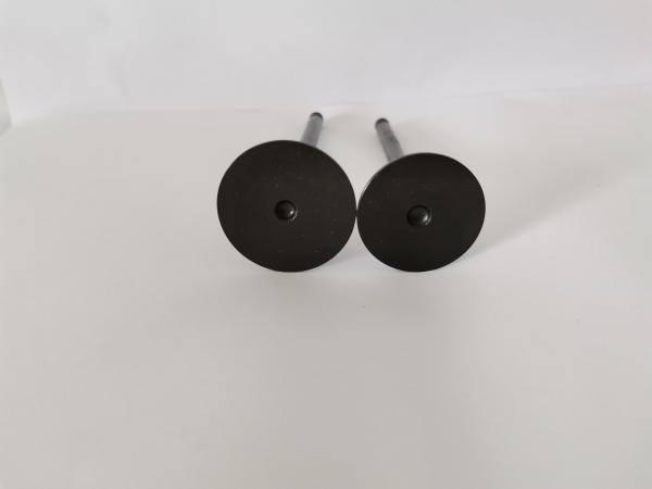 Steel Car Engine Intake Valve for Gm Astra / Vectra / Zafira 2.0l / 2.2l / 3140-AC