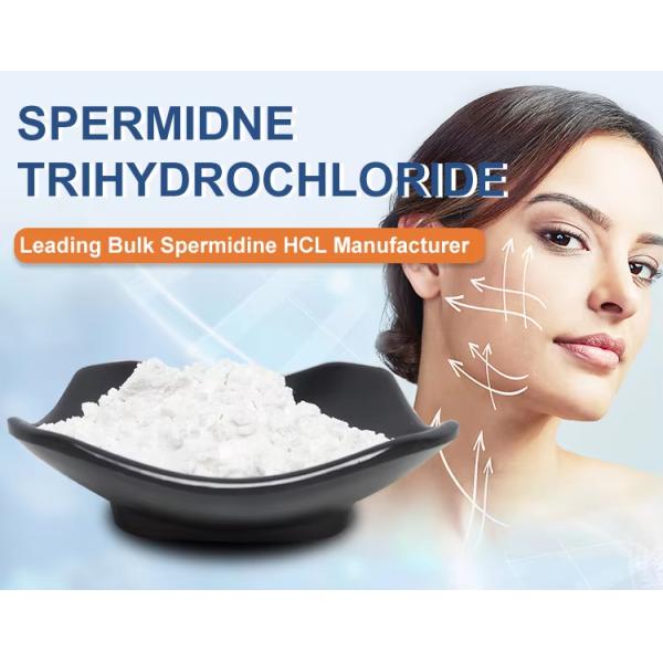 Белый спермидин порошок 334-50-9 Митоспермидин гигроскопический и чувствительный к воздуху