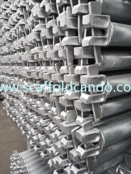 Factory specialized in Hot dip galvanized painted Ringlock scaffold ledger horizontal 1200,1500,1800mmL for sale