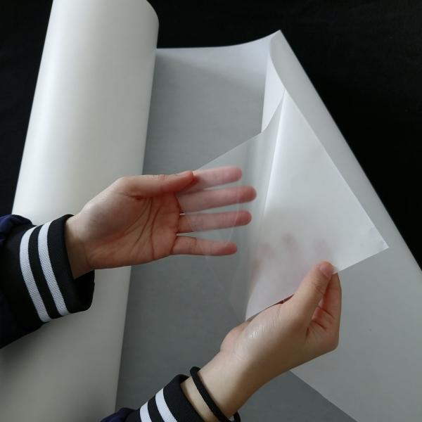 Filmes esparadrapos do derretimento quente translúcido com papel da liberação para o material da esponja