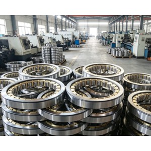 Wuxi Nengli Bearing Co., Ltd.