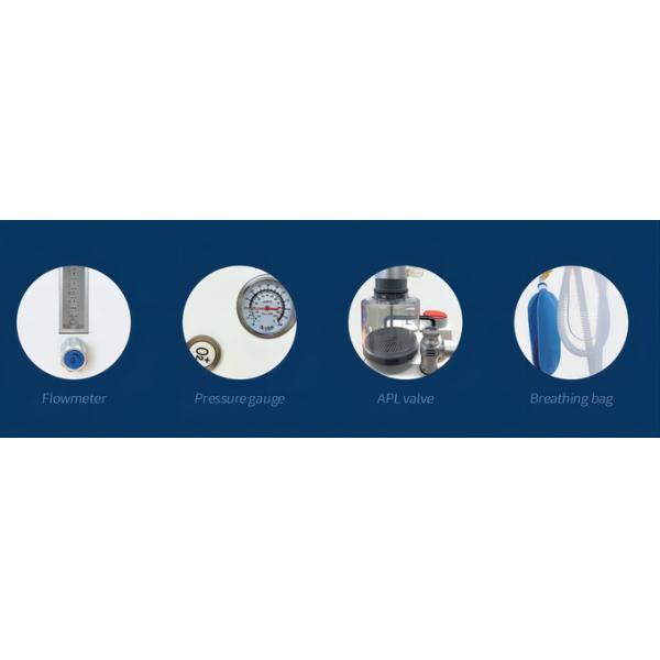 Машина 280kPa-600kPa наркотизации ВЕТЕРИНАРА высокой точности DM6D животная