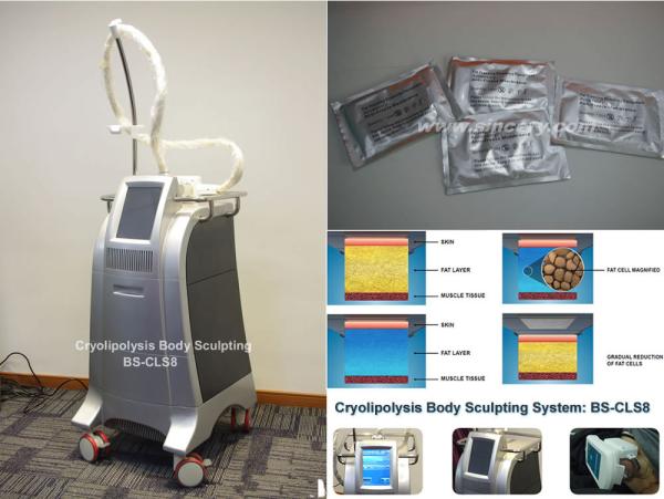 Fat Freeze Cryolipolysis Body Slimming Machine Fat Burning Equipment With Cooling Technology
