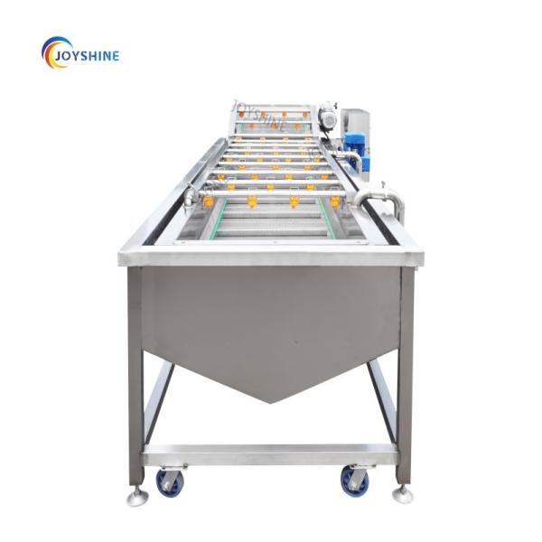 500 kg máquina de lavagem de frutas de abacate depilação de cera máquina de triagem linha de processamento de limpeza de vegetais