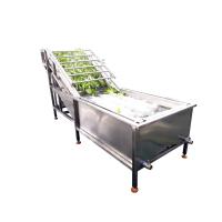 Máquina de lavar automática do mirtilo do equipamento da trasformação de frutos SUS304