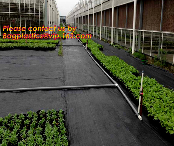 Garden tomato green house greenhouse film 3 layer eva agriculture clear plastic protective 90% transmission green house,