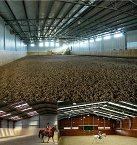 High Standard Galvanized Steel Farm Storage Buildings Snow Resistance