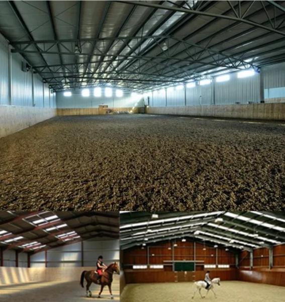 Q235B Q355B Steel Framed Agricultural Buildings High Strength