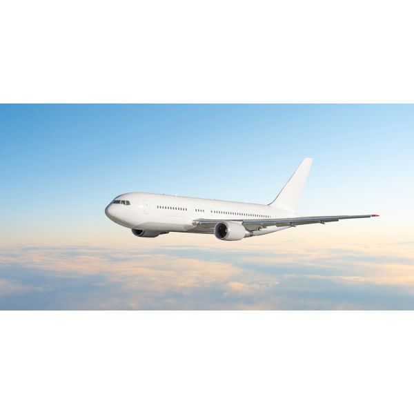 FMC Licensed Freight Forwarder with Global Network Offering Door to Door Logistics Service