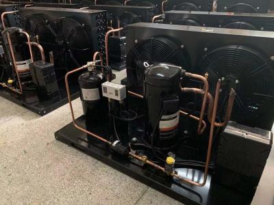 Unidade de condensação mais fria do rolo ZB de Copeland da unidade de refrigeração da sala de ZB66KQE 9HP