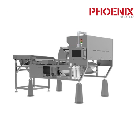 Dehydrated Berries Fruit Sorter Machine RGB Blueberry Sorting Equipment