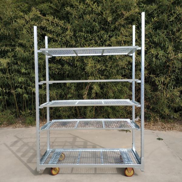 Metal Mesh Danish Flower Trolley Hot Dip Galvanizing For Warehouse