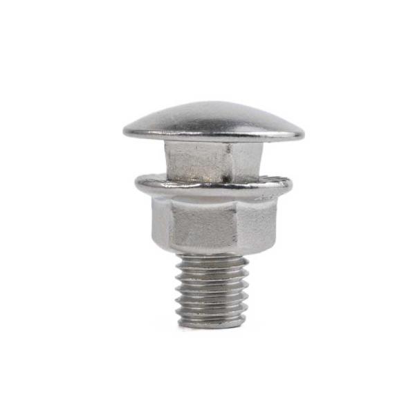 Wholesale Stainless Steel Coach Bolt And Nut Of Ss304 Ss316 A2-70 A4-80