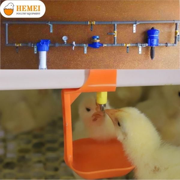 Drinking System for Broiler Cage