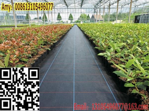weed barrier sheet PP ground cover pp woven geotextile/needle punched gardening cloth