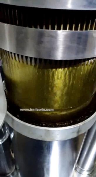 Mustard Oil Extraction Machine
