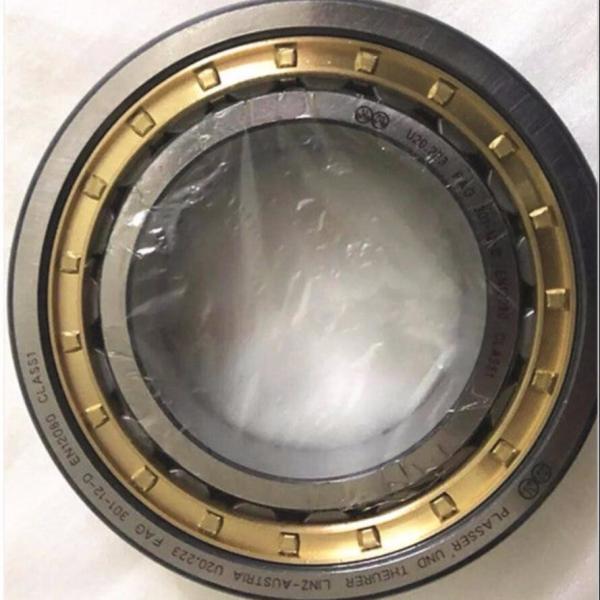 FAG Bearing Steel U20.223 NJP2216EM1C3 Cylindrical Roller Bearing Needle Roller Bearings
