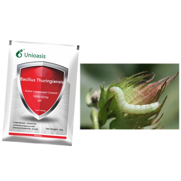 Organic Cabbage White Butterfly Insecticide BT WP Bacillus Thuringiensis Pesticide