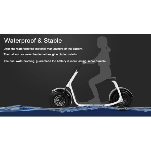 Citycoco 2000w Electric Scooter Adult With Seat 50 Mph 45 Mph EEC Approved