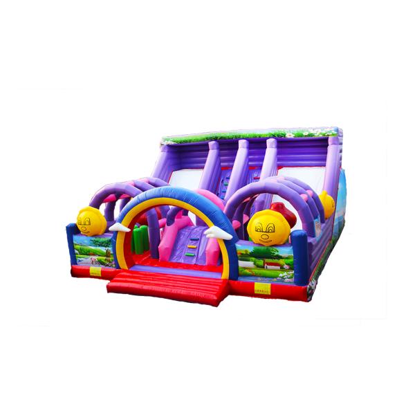 Customize Large Two Lane Slides Purple Inflatable Bouncer Slide
