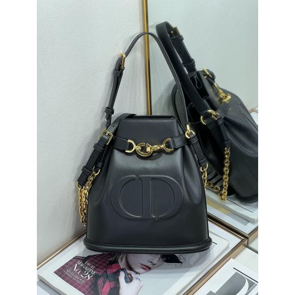 Выбитая телячья кожа сумки спорта Dior CD седловины золота сумки C'est Dior христианская