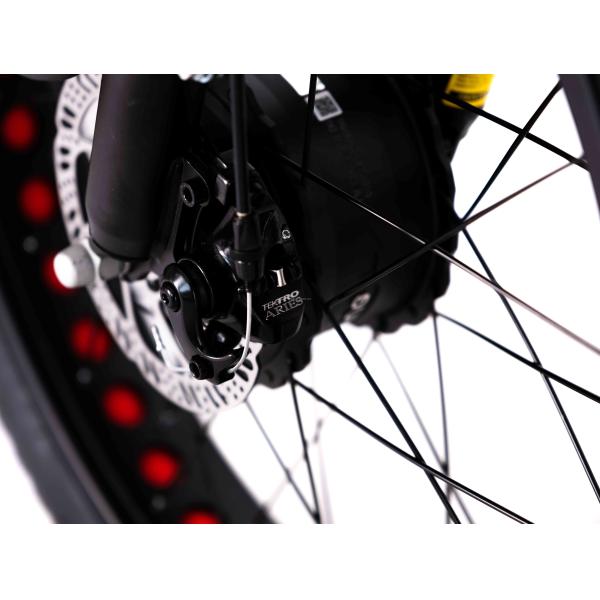 Lightweight Aluminum Frame Electric Tricycle 48V 750W 21AH 50KM/H for Adult Passenger
